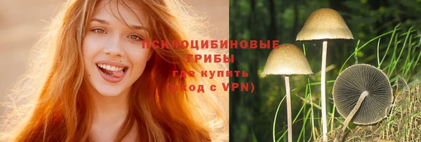 a pvp Горнозаводск