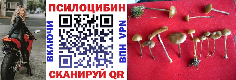 это наркотические препараты  Северодвинск  Псилоцибиновые грибы мухоморы  хочу наркоту 